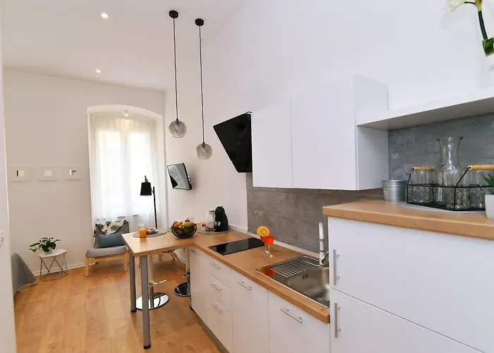 Vitopolis 1&2 公寓 里耶卡