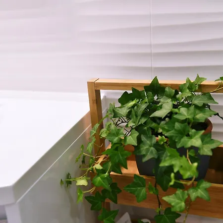 Vitopolis 1&2 * Rijeka